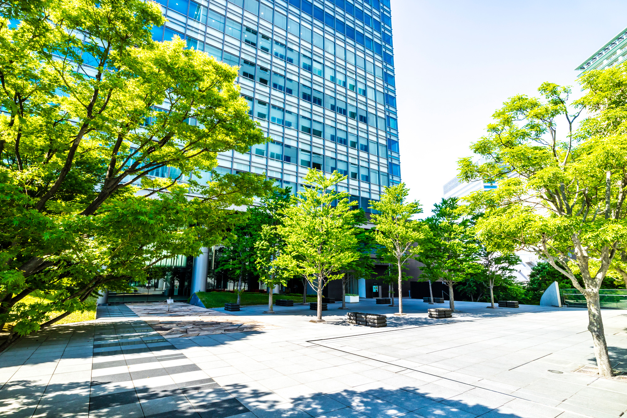 施設周辺の広場と緑化エリア。高層建物と新緑の樹木が配置された外構空間。